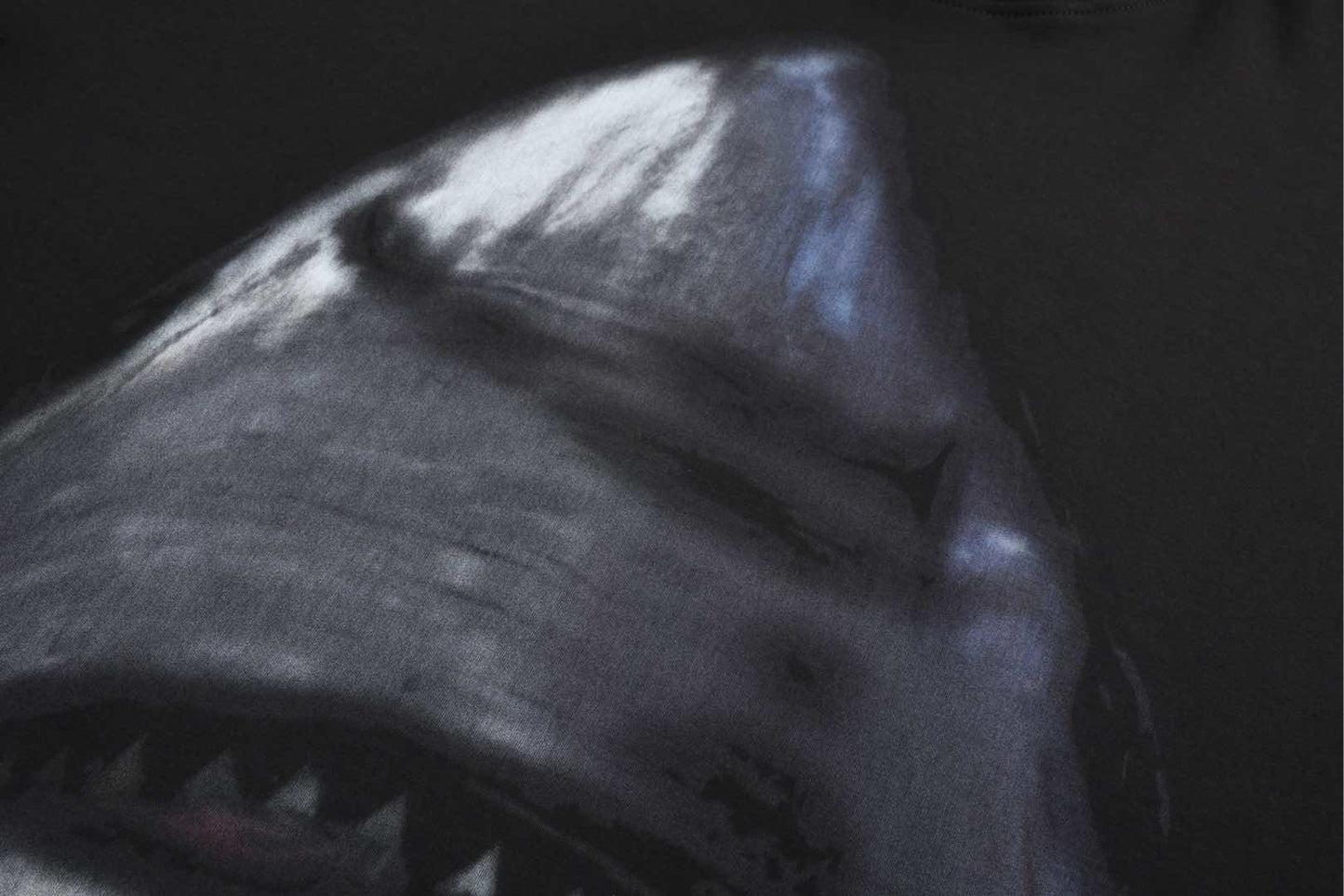 25ss Classic Jaws Short Sleeve