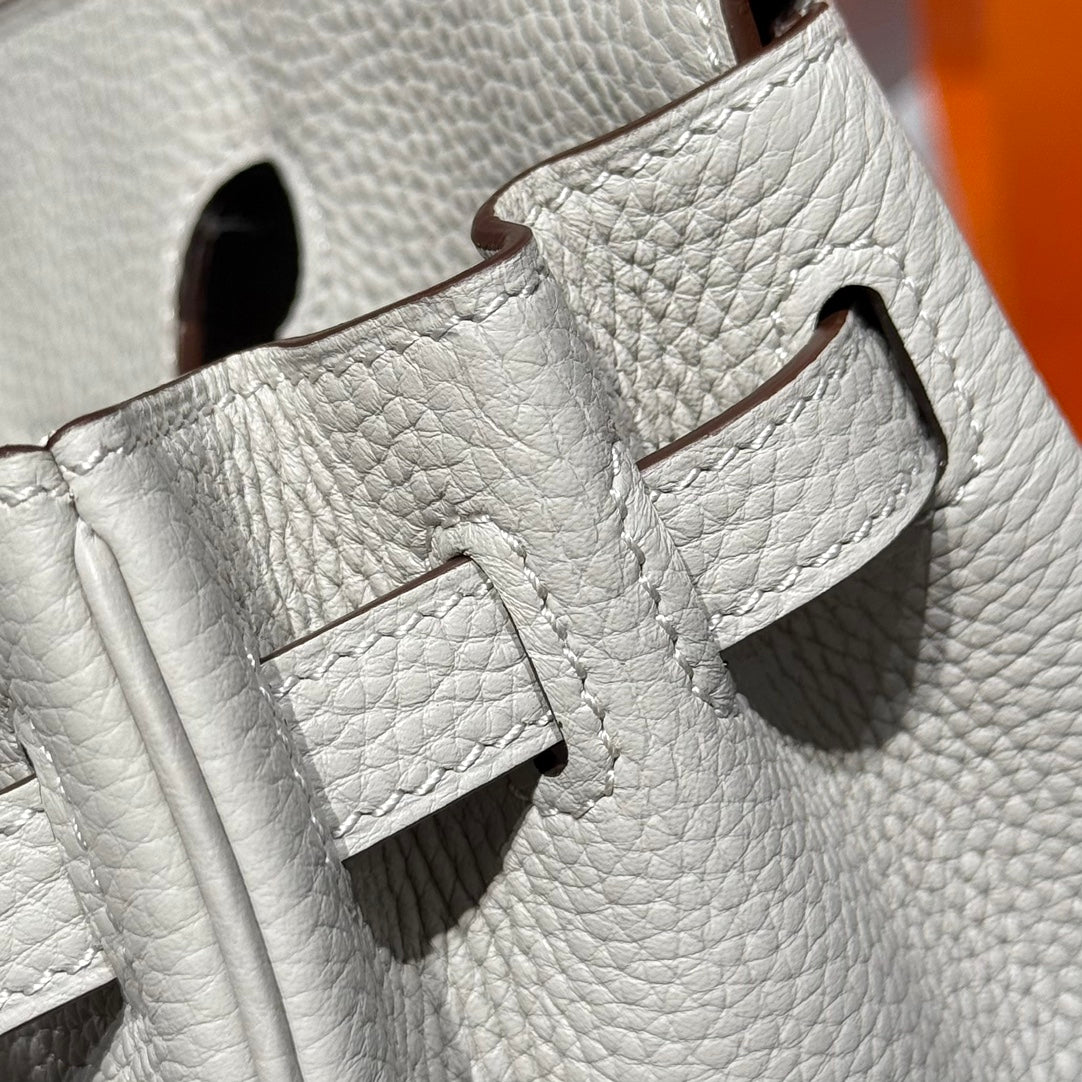 Birkin Pearl Gray and Silver Togo Leather 250048