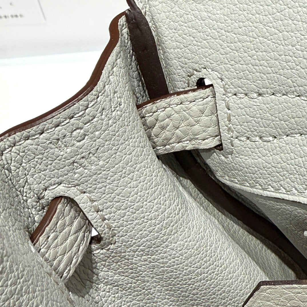 Birkin Pearl Gray and Silver Togo Leather 250048