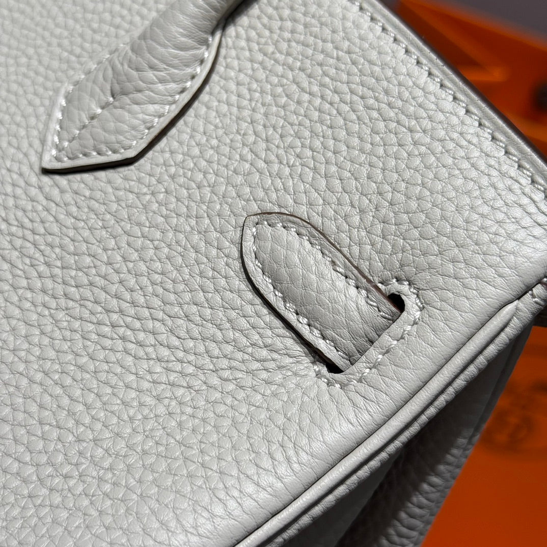 Birkin Pearl Gray and Silver Togo Leather 250048