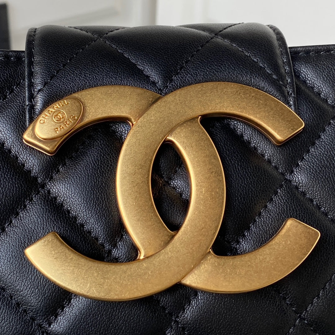 25 Early Spring Resort Collection Metal Chain Large Logo Crossbody Bag