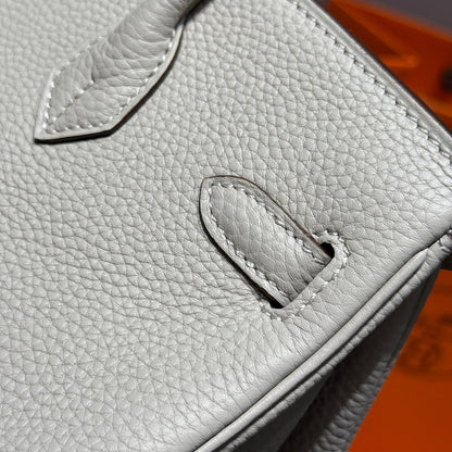 Birkin Pearl Gray and Silver Togo Leather 250048